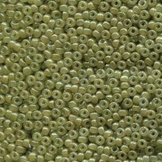 8/0 Seed Bead Celery 100 Gm/bg