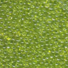 Drop Bd (3.4mm) Japanese 250gm Transparent Lime (143)