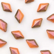 Gemduo Duet Polychrome Carrot & Spice 100gm/bg