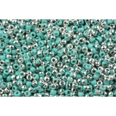 COTOBE Beads Green Turquoise and Silver (J043) 11/0